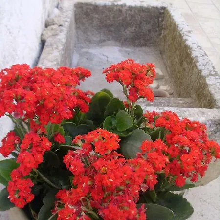 Bed & Breakfast Corte Fidele