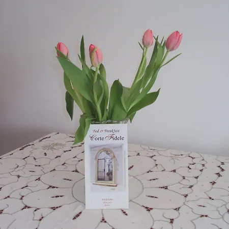 Corte Fidele Bed & Breakfast