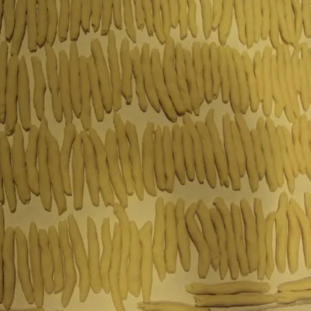 Corte Fidele Bed & Breakfast Ugento